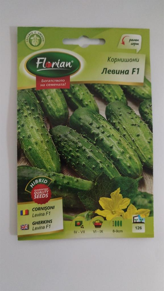 Корнишони Левина Флориян F1 1 гр